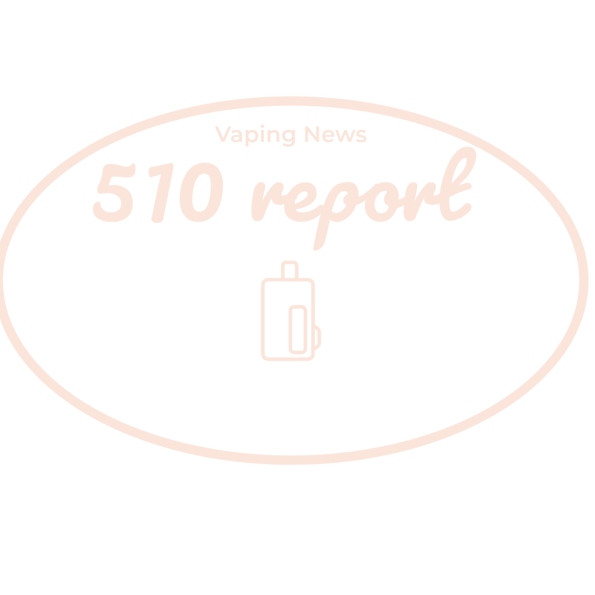 510 Report